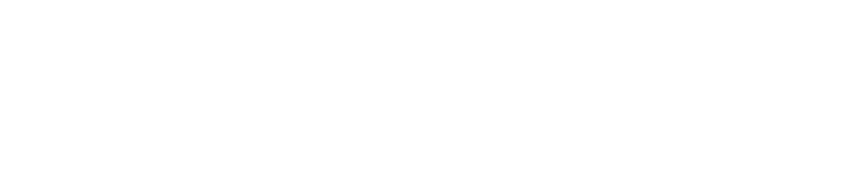 Secretaría de Investigación, Desarrollo e Innovación  – UNSL